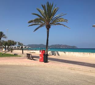 Strandpromenade Sa Coma