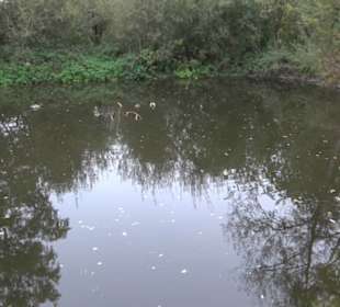 Erlebnisbauernhof und Wildgehege