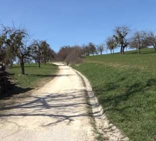 Premiumwanderweg "hochgeblickt"