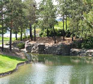 Kelowna Waterfront Park