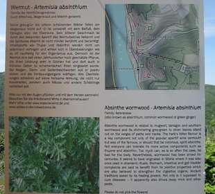 Impressionen Kräuterweg in Assmannshausen