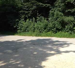 Waldlehrpfad St. Johann