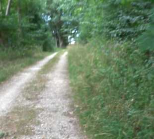 Tour entlang der Traifelbergfelsen