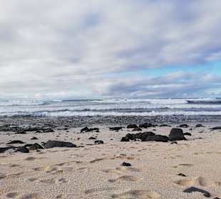 Strand Lajares