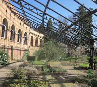 Der Botanische Garten im März 14