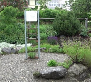 Altstadt Bad Waldsee