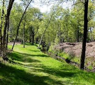 Rundgang durch das Hochmoor des Museums