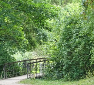 Nordic Walking Bad Mergentheim