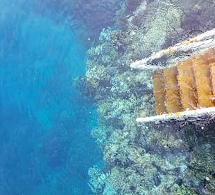 Das Riff unterhalb des Steges.