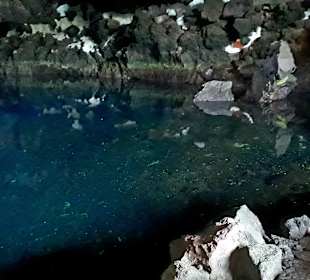 Jameos del Agua Cesar Manrique