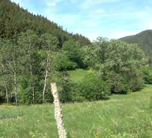 Wanderung Klosterquelle Klosterreichenbach