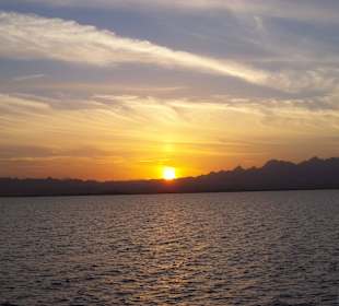 Ausflug zum schnorcheln