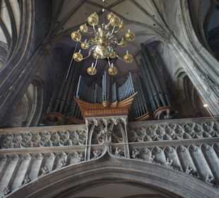 Katedra św. Szczepana