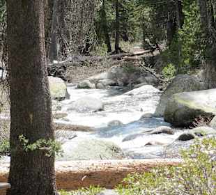 Yosemite Nationalpark