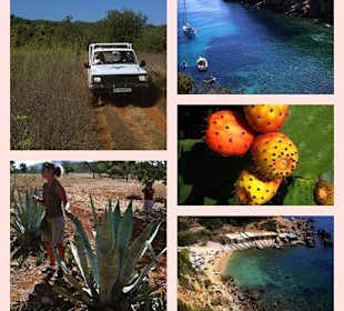 Jeep Safari Tour