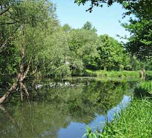 Impressionen vom Krimpelsee