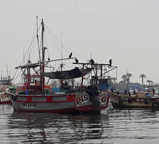 Stadtrundgang Paracas