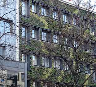 Stadtrundgang Mannheim