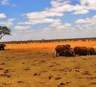 Tsavo East