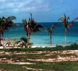 Strand von Abaco Island