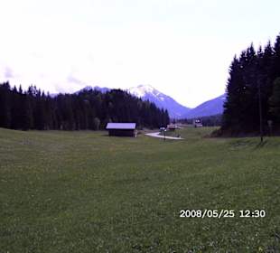 Am Wanderweg Natur pur