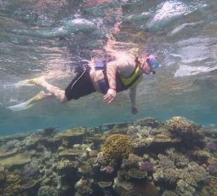 Einmalie Erlebnisse mit Mo´s Delfinen