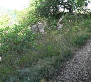 Tour entlang der Traifelbergfelsen