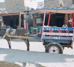 Taxi - Uta, Vip-Desertsafari