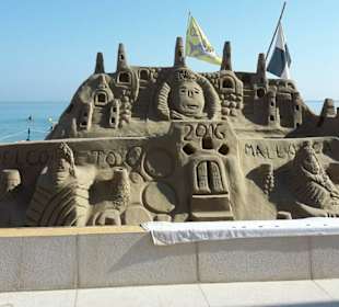 Sandburg in Can Picafort