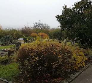 Friedhof Belsen