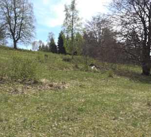 Naturreservat Beutenlay