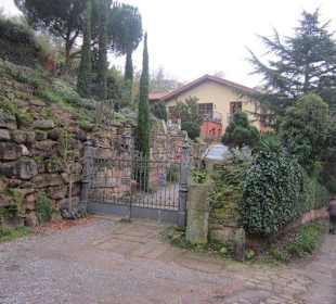 Auf dem Weg zur Wolfsburg