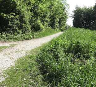 Burgruine Hohenstaufen