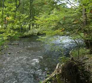 Von Bayerisch Eisenstein nach Ludwigsthal