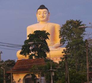 Buddha-Tempel in Aluthgama