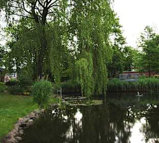 Teich im Kurpark