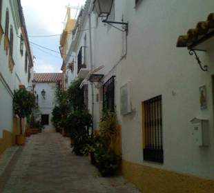 Excursión a marbella, playas y pueblo