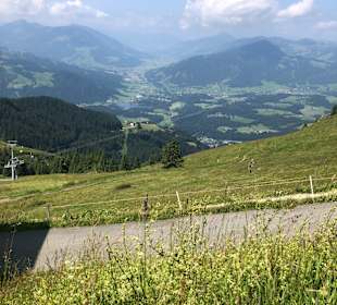Kitzbüheler Horn