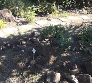 Wüstengarten - Berggarten