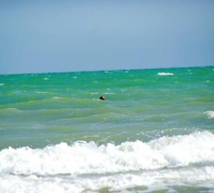 Strand Bibione 06_2011