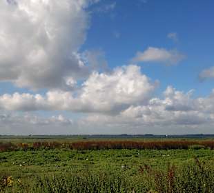 Natuurgebied Voorne Putten