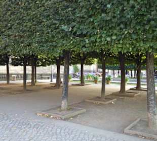 Altstadt Brühlsche Gärten