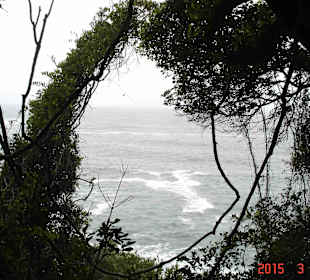 Tsitsikamma National Park