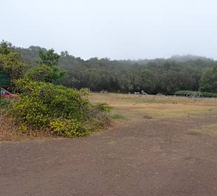 Impressionen La Gomera
