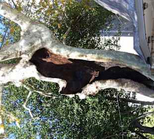 At Meydanı (Hippodrom)