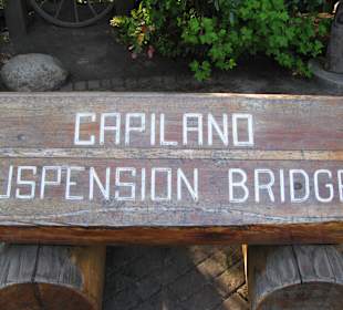 Capilano Suspension Bridge and Park