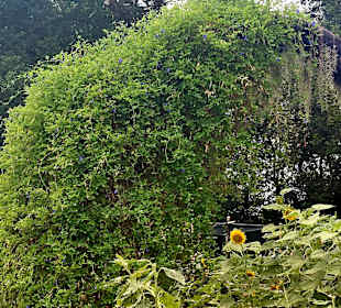 Singapur Zoo
