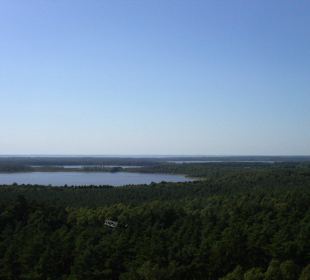 Blick vom Turm über den Nationalpark