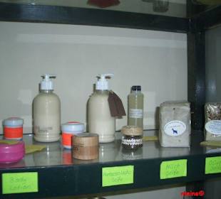 El Habba Shop Hurghada