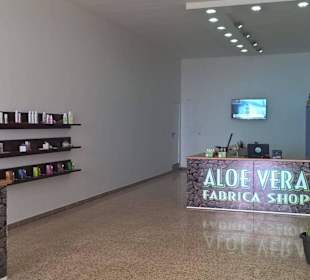 Aloe Vera Fresca Infocenter Teneriffa -  Chasna